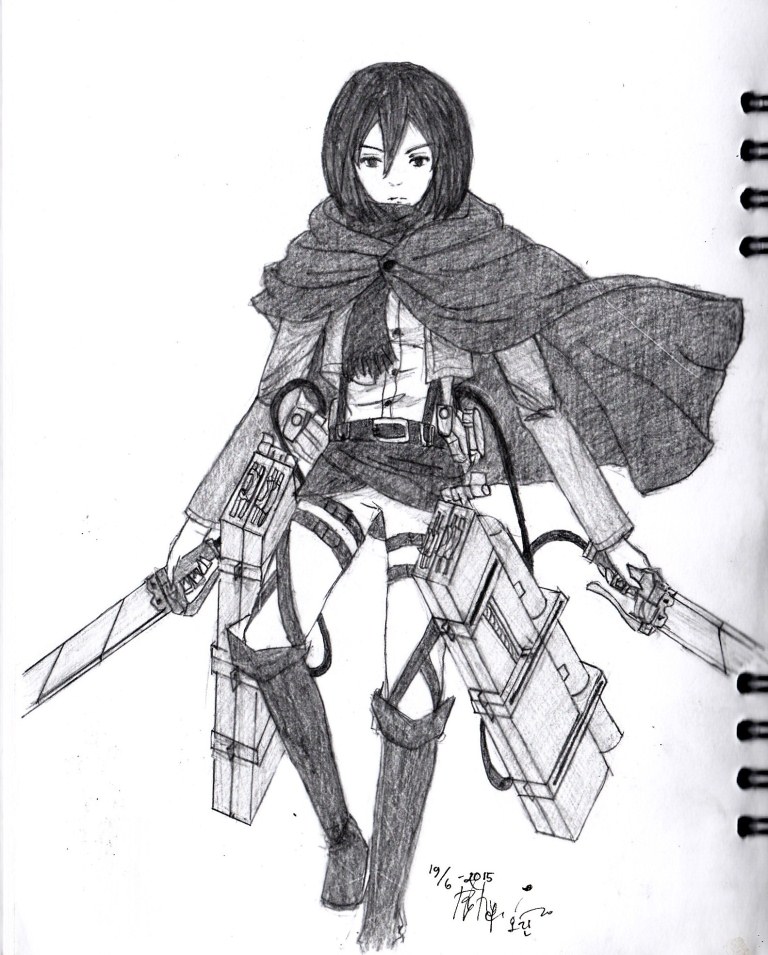 Shingeki no Kyojin Mikasa Ackerman Figure Sketch 